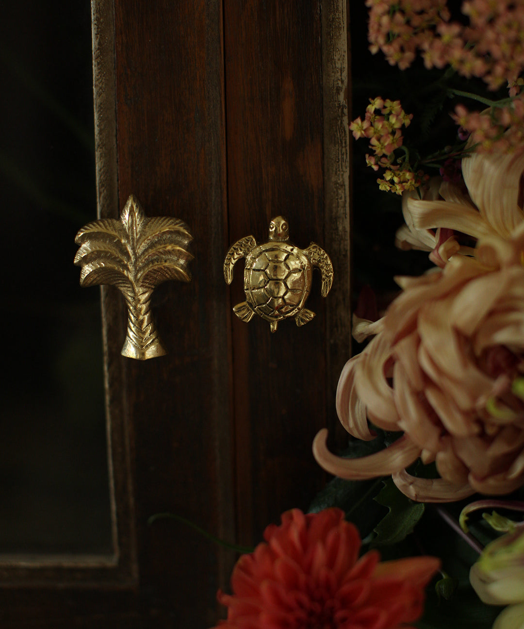 Tirador Bronce Tortuga